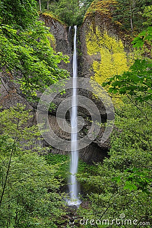 Latourell falls waterfall, Oregon Stock Photo