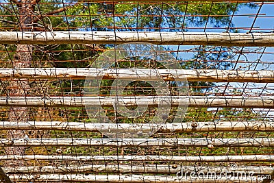 Lattice Roof for climbing plants Stock Photo