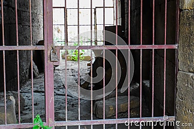 Lattices with lock in a closed passage in the fortress Stock Photo