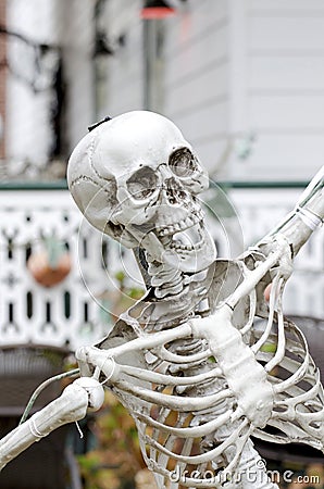 Laughing Skeleton Stock Photo