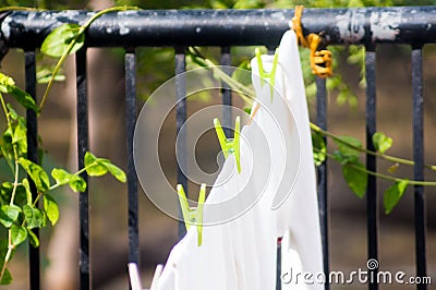 Laundry drying surrounded by plants Stock Photo