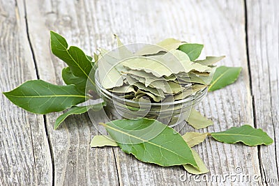 Laurel bay leaves Stock Photo