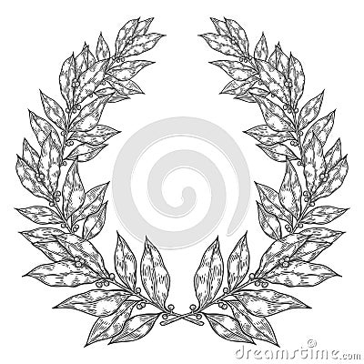 Laurel Bay white black leaf Hand drawn vector illustration. Vintage decorative laurel wreath. Vector Illustration