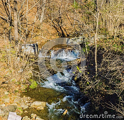 Laurel Branch Creek Dam Stock Photo