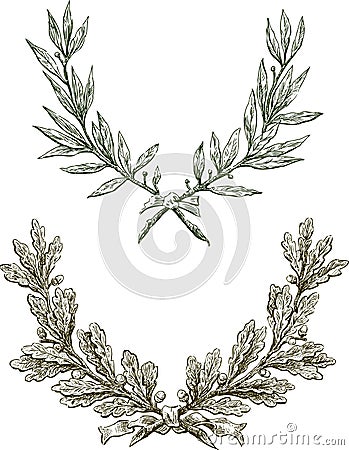 Laurel and oak branches Vector Illustration