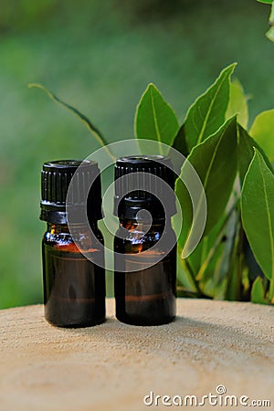laurel oil.Bay leaf oil.Essential oil bottles . Laurel essential oil.Glass bottles set and laurel leaves on a green Stock Photo