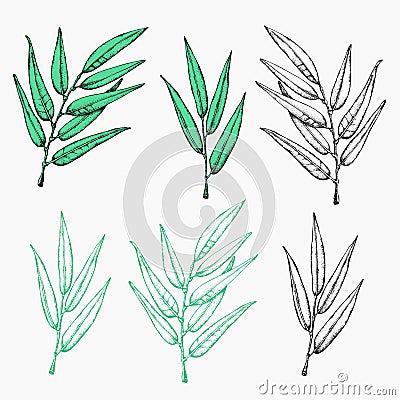 Laurel wreath icon. Emblem made of laurel branches. Laurel leaves symbol of high quality olive plants. Sign isolated on white Cartoon Illustration