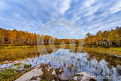 Laurentian Lake Conservation Area Stock Photo