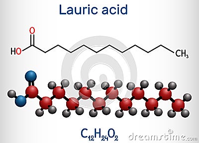 Lauric acid, dodecanoic acid, C12H24O2 molecule. It is a saturated fatty acid. Structural chemical formula and molecule model Vector Illustration