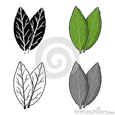Laurus icon in cartoon style isolated on white background. Herb an spices symbol stock vector illustration. Vector Illustration