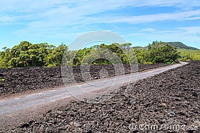 Lava field and trees, Rangitoto Island, New Zealand Stock Photo