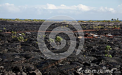 Lava flow field near Kalapana Stock Photo