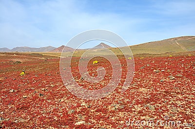 Lava landscape with volcanos and craters on spanish island lanzarote Stock Photo