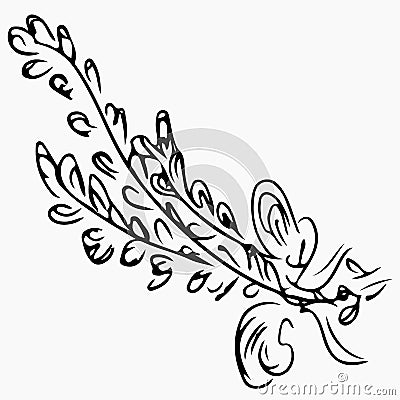 Lavandula angustifolia aka common lavender sketch on gray background. Aromatherapy series. Hand drawn vector illustration. Doodle Cartoon Illustration