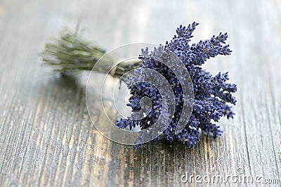 Lavandula angustifolia bunch of dry flowers in bloom tied with jute white rope Stock Photo