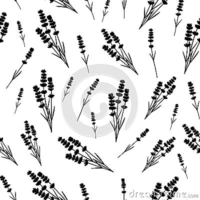 Seamless black silhouette lavender pattern on white background. Vector Illustration