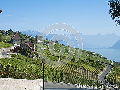 Lavaux vineyards (1) Stock Photo