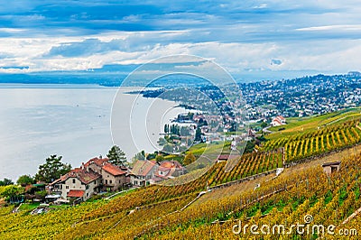 Lavaux vineyards Stock Photo