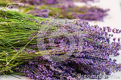 Lavender angustifolia, lavandula in herb garden harvest cuted Stock Photo