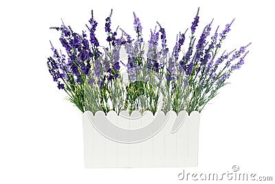 Lavender Artificial flowers in white Plastic vase isolated Stock Photo