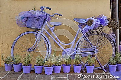 Lavender & Bicycle Stock Photo