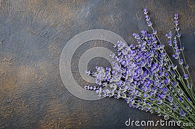 Fresh lavender on dark background Stock Photo