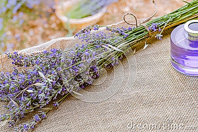 Lavender bottle flower perfume in the field Stock Photo