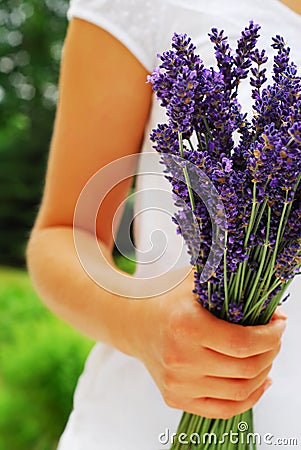 Lavender bouquet Stock Photo