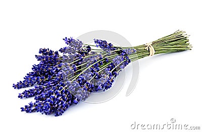 Lavender bouquet isolated Stock Photo