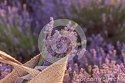 Lavender bouquet in a wicker bag on lavender field sunset Stock Photo