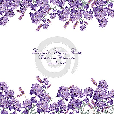 Lavender Card with flowers in watercolor paint Vector Illustration