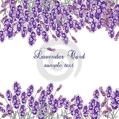 Lavender Card with flowers in watercolor paint Vector Illustration