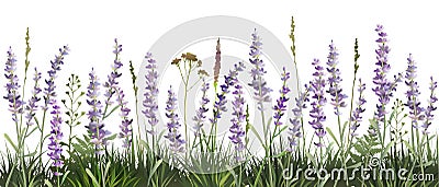 Lavender decorative field. Lavender background. Vector illustration Cartoon Illustration