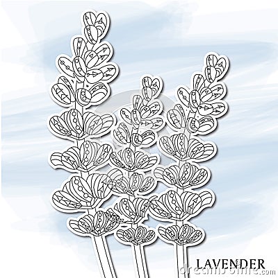 Lavender, decorative Vector Illustration