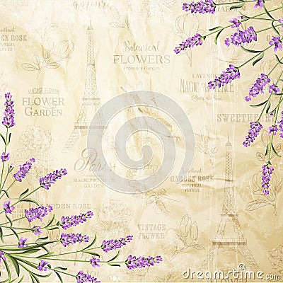 The lavender elegant card. Vector Illustration