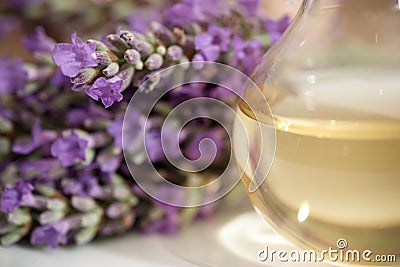 Lavender essence oil Stock Photo