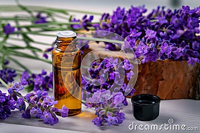 Lavender essential oil bottle with fresh flowers Stock Photo