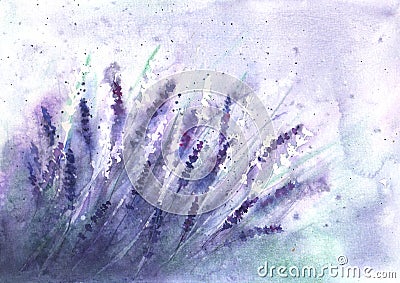 Lavender field background. Watercolour hand drawn flowers, leaves, plants Cartoon Illustration