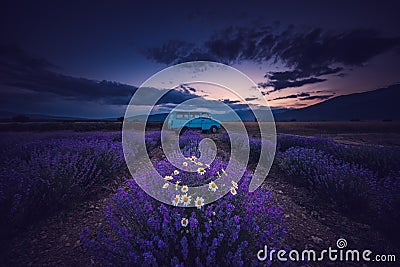 Lavender field and endless rows, SUNSET. Old bus van. Stock Photo