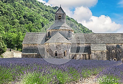 Lavender field in Provence, France. Beautiful landscape with med Stock Photo