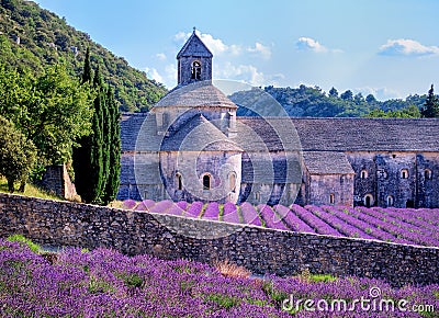 Lavender fields, Provence, France Stock Photo