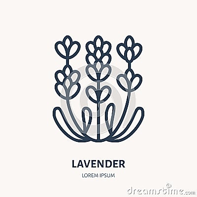 Lavender flower flat line icon. Medicinal plant vector illustration. Thin sign for herbal medicine, essential oil logo Vector Illustration