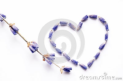 Lavender flower heart shape Stock Photo