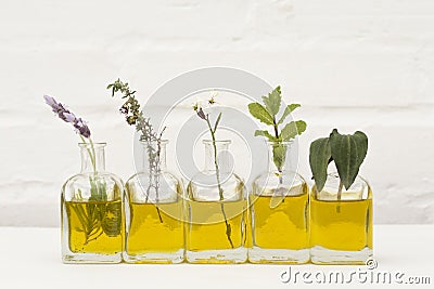 Lavender flower, thyme, rosemary, parsley flower and basil in bottles of oil essence in white wall Stock Photo