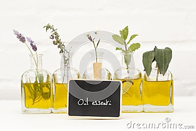 Lavender flower, thyme, rosemary, parsley flower and basil in bottles of oil essence Stock Photo