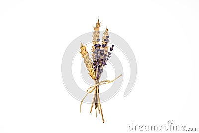 Lavender flower and wheat seeds in a beautiful organic bouquet isolated on white Stock Photo