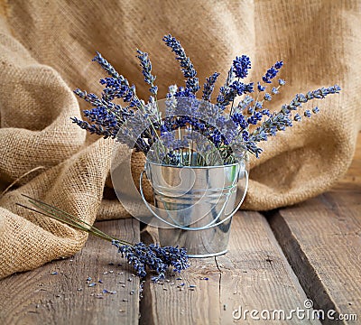 Lavender flowers in an iron bucket Stock Photo