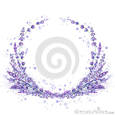 Lavender flowers purple watercolor round frame isolated on white background Vector Illustration