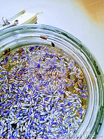 Lavender flowers in water Stock Photo