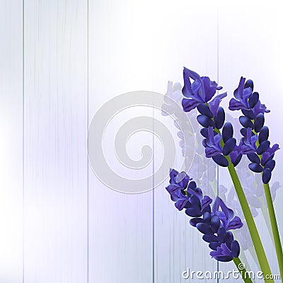 Lavender flowers on wood Vector Illustration